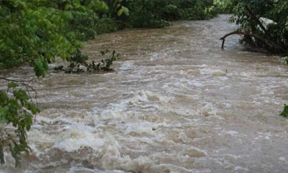 இலங்கையை புரட்டிப்போட்ட ‘டித்வா’ புயல்: 480 பேர் பலி, மலையகப் பகுதிகளில் கடும் சேதம் – அவசரகால நிலை பிரகடனம்